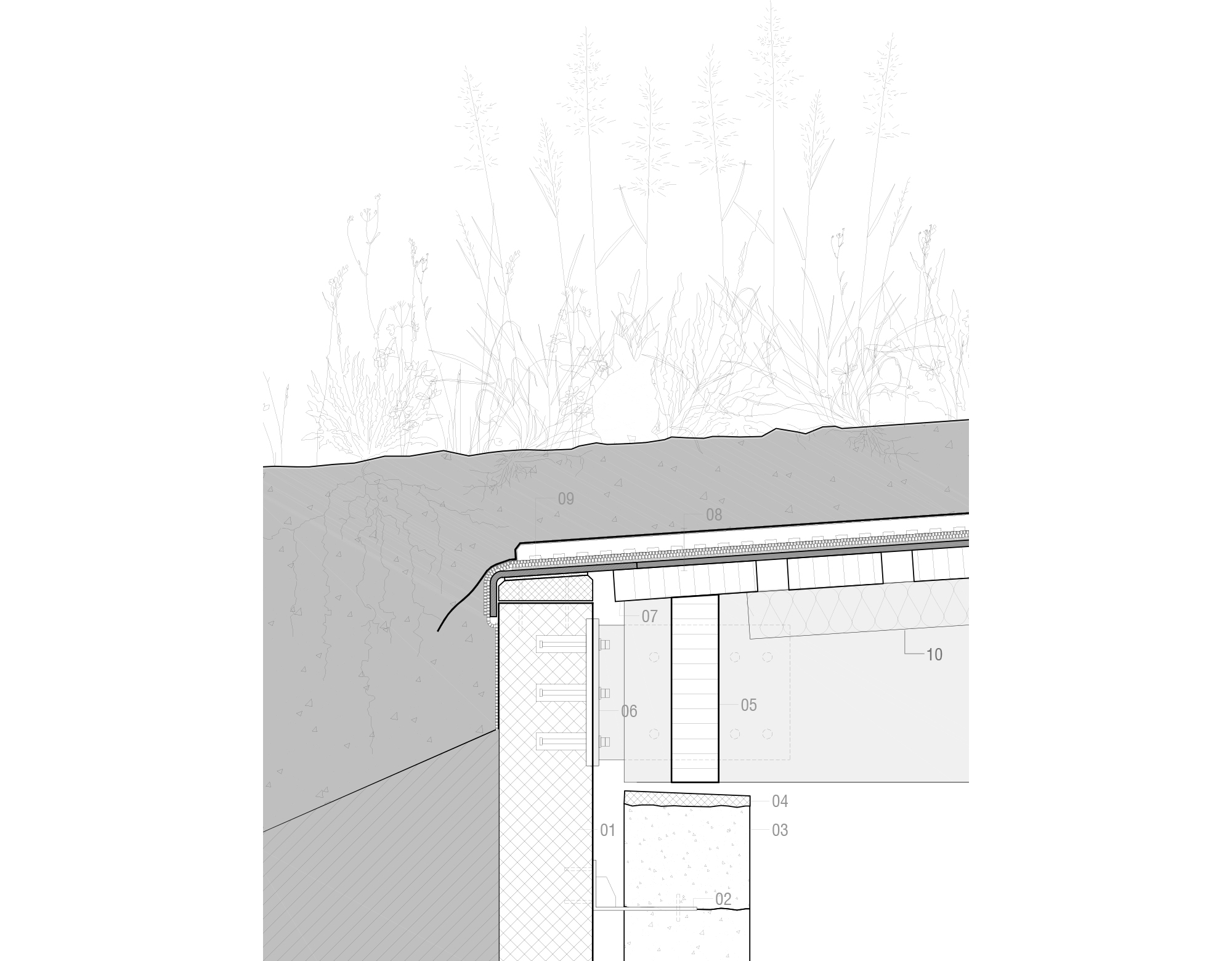 DETAIL_ECOPONT FORET DE SOIGNES_BRUXELLES_NU ARCHITECTURE & INGENIERIE_RESERVOIR A
